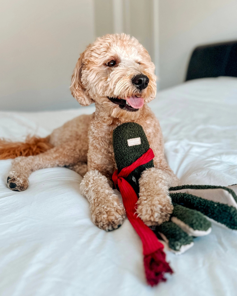 Tako Enrichment Holiday Dog Toy