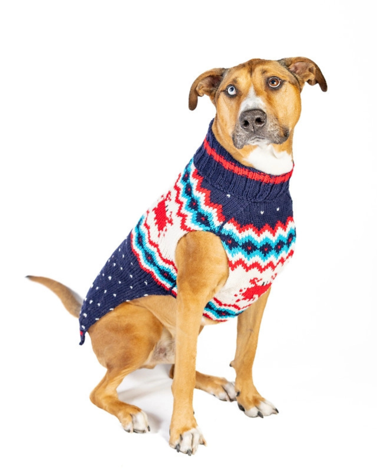 Crabby Coast Wool Dog Sweater