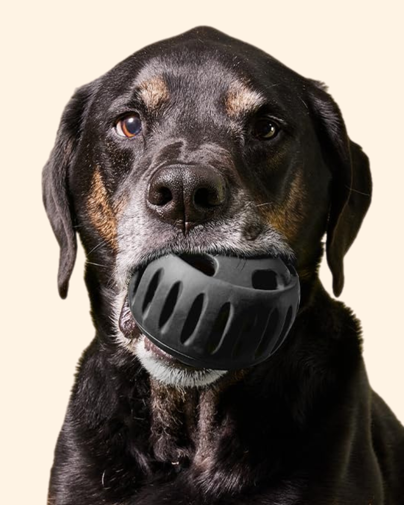 The Power Chewer Pupsicle Enrichment Dog Toy