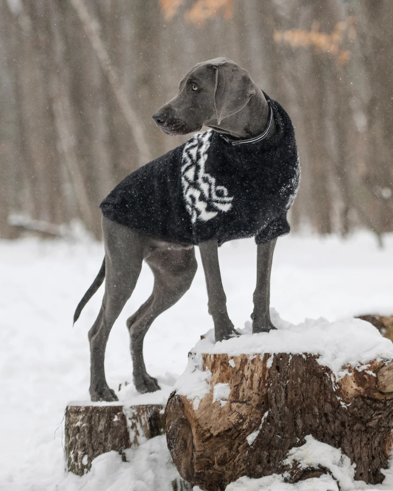 Fuzzy Dog Sweater in Black