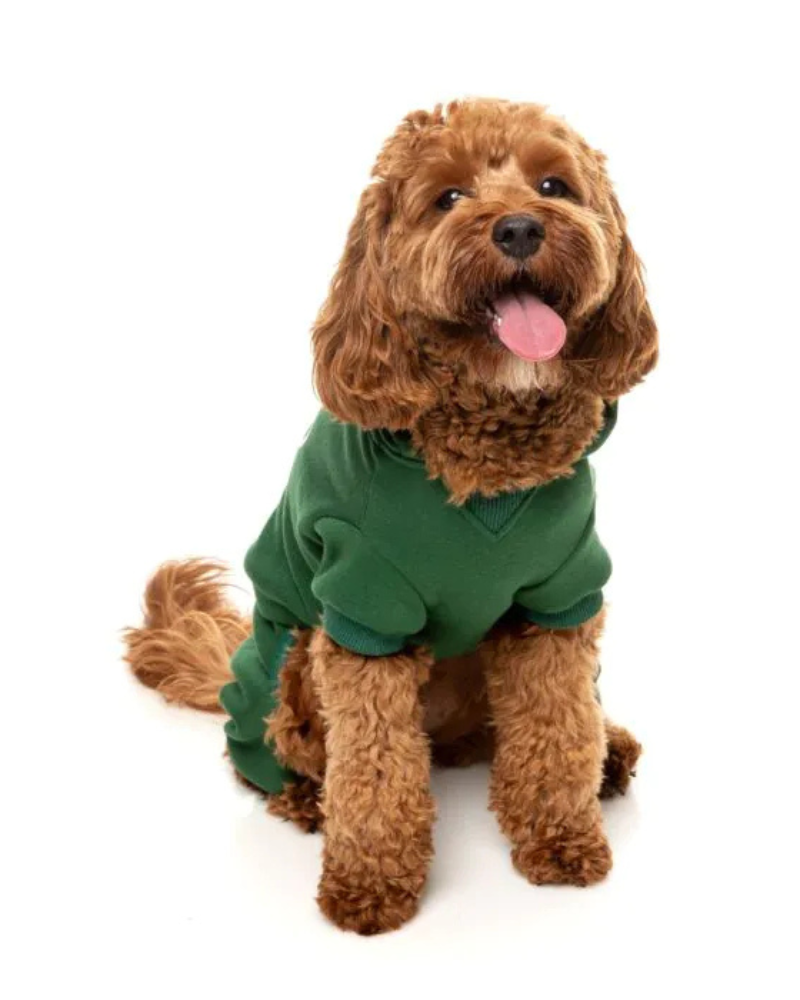 Urban Dog Tracksuit in Green