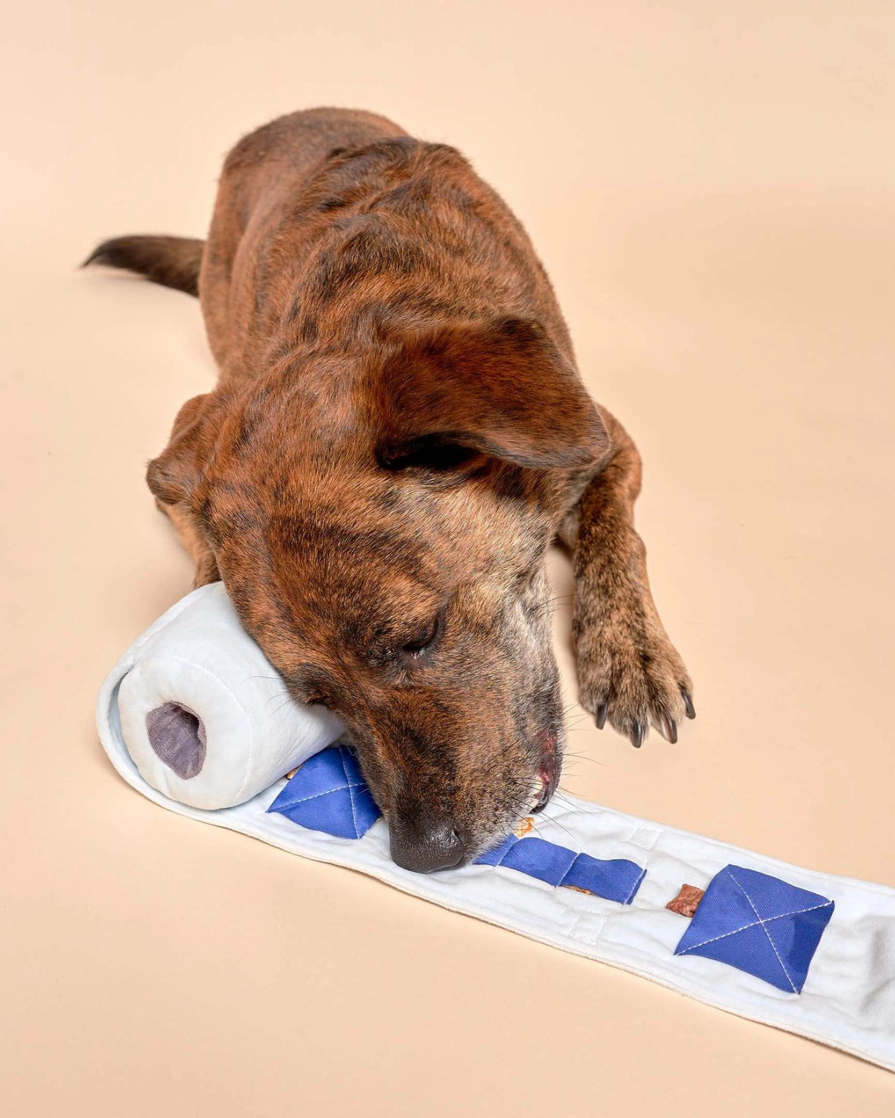 Toilet Paper Nosework Dog Toy