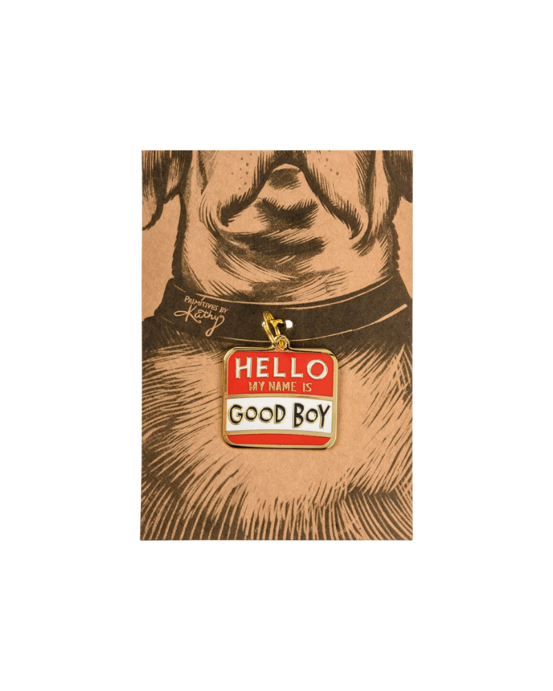 HELLO My Name is Good Boy Collar Charm