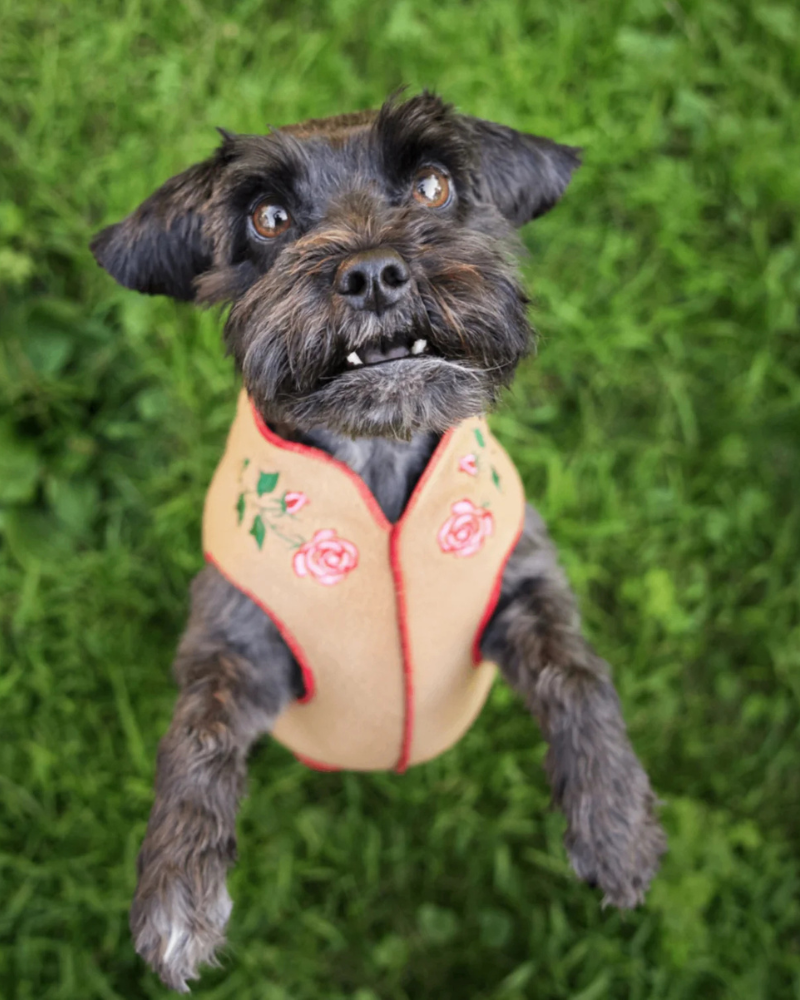 Limited Edition Embroidered Stretch Dog Fleece (Made in the USA)