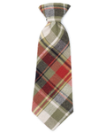 Olive Harvest Multi Plaid Dog Tie