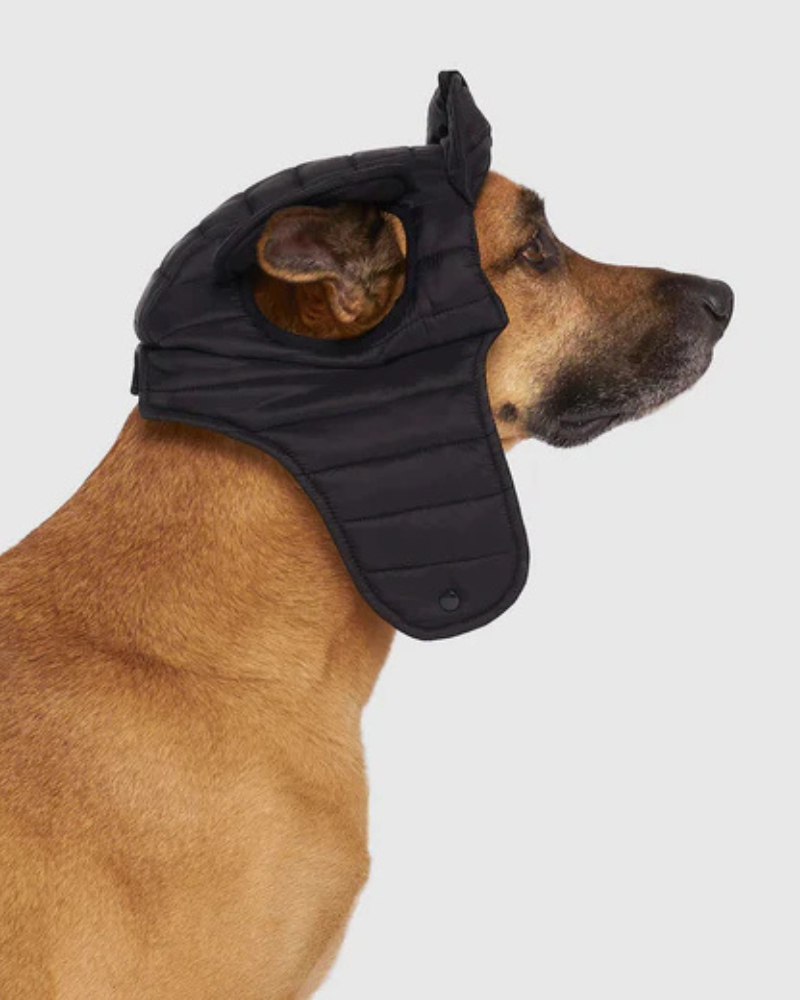 Faux-Down Dog Puffer Hat