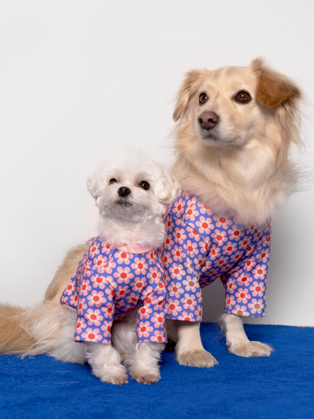 Pink Lotus Dog Shirt