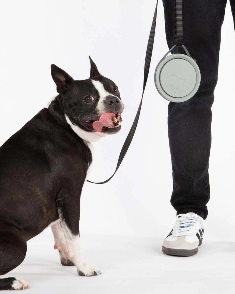 Nomad Collapsible Dog Bowl in Sand