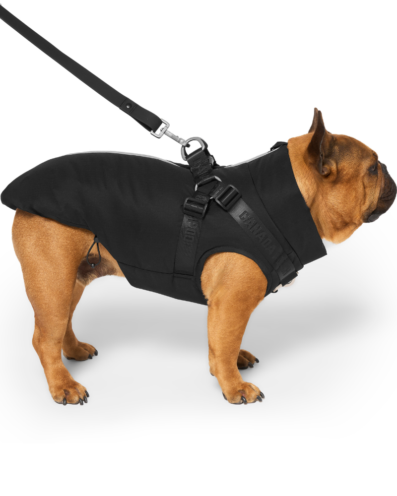 Complete Control Harness Winter Dog Jacket