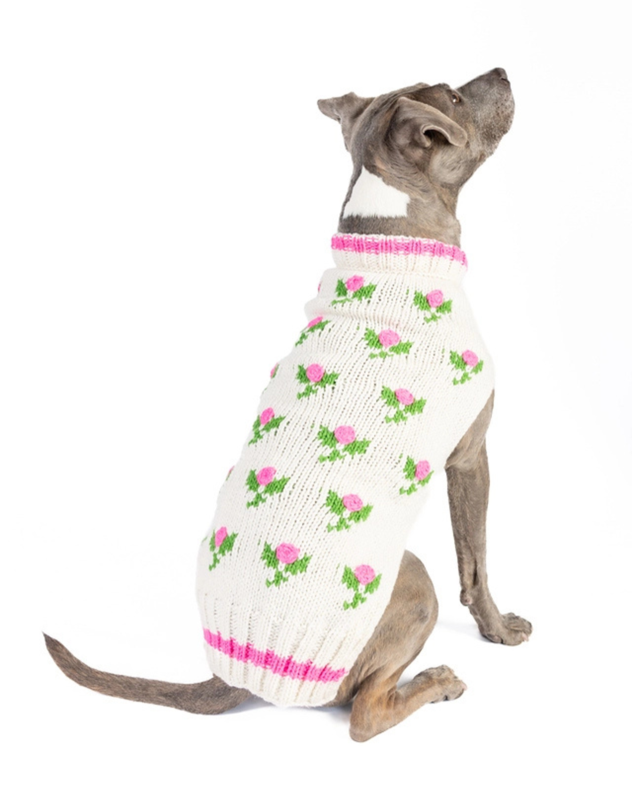 Rose Bud Wool Knit Dog Sweater