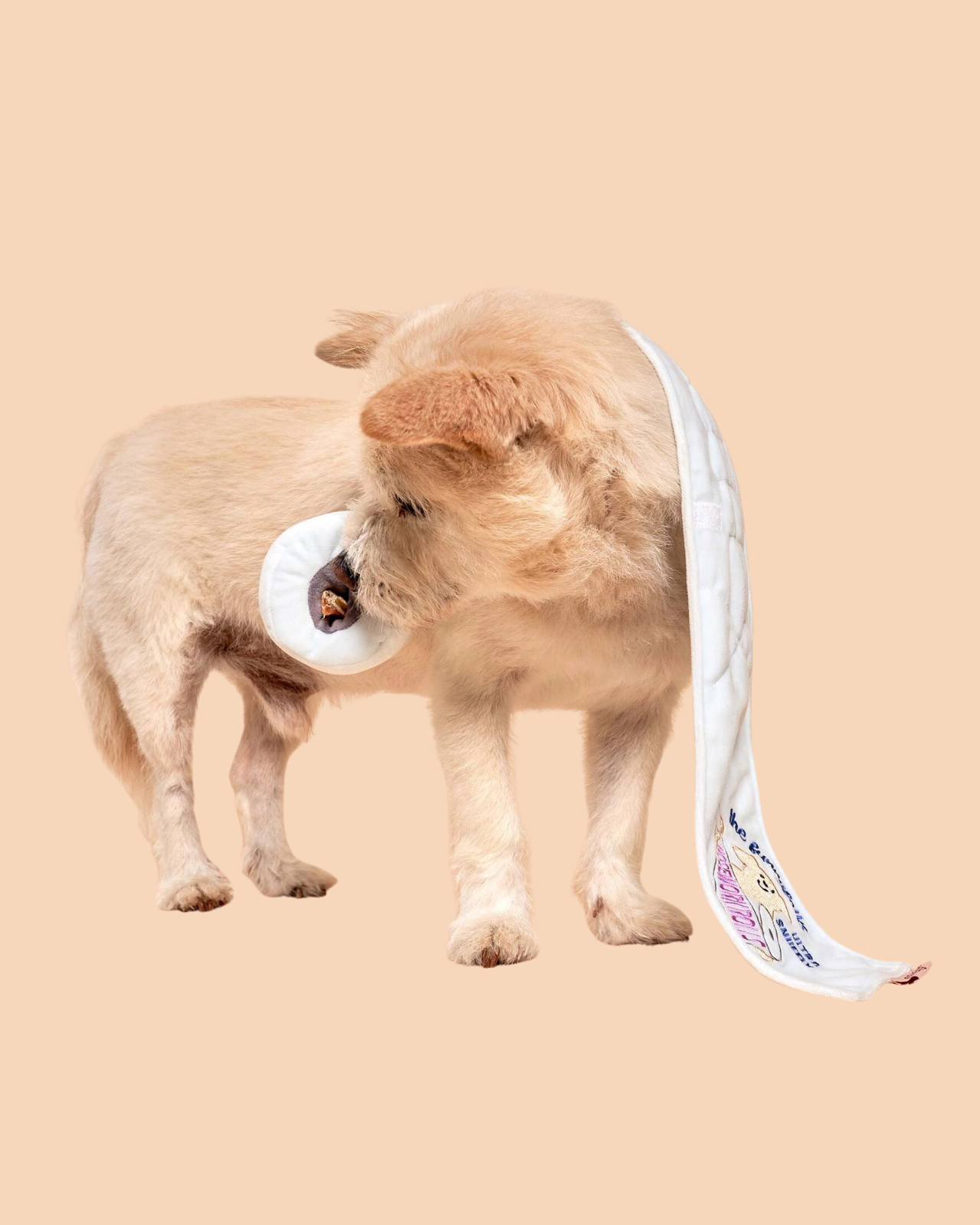 Toilet Paper Nosework Dog Toy