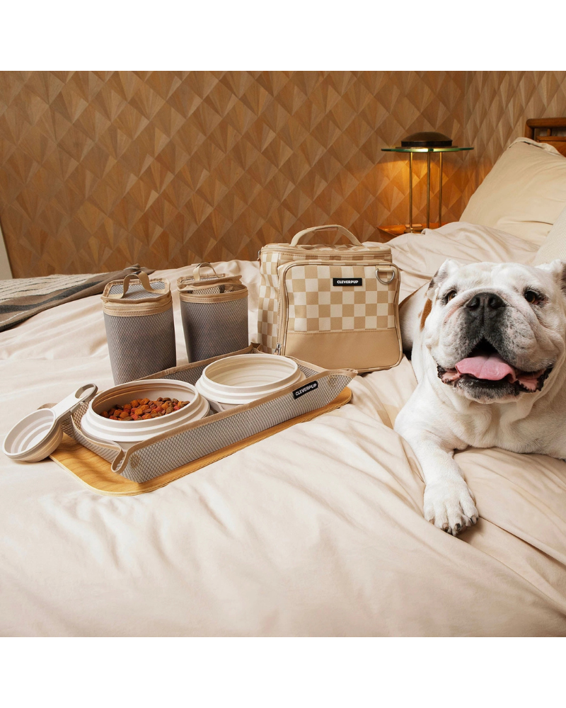 Bistro Box Dog Food Travel Kit in Check