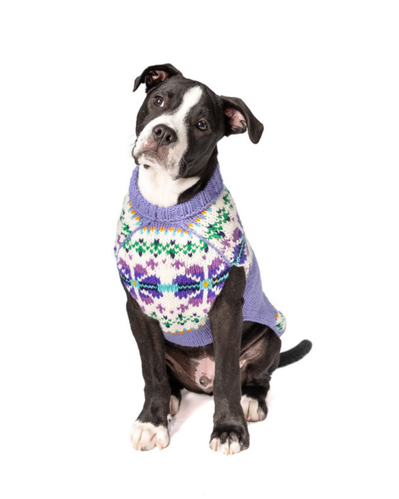 Lavender Flowers Wool Dog Sweater