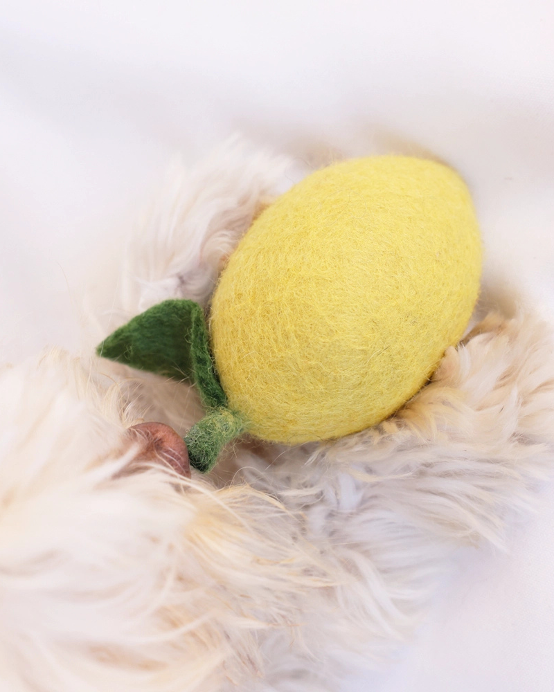 Wool Lemon Dog Toy