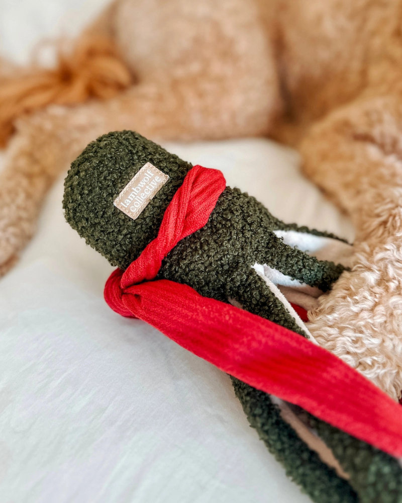 Tako Enrichment Holiday Dog Toy