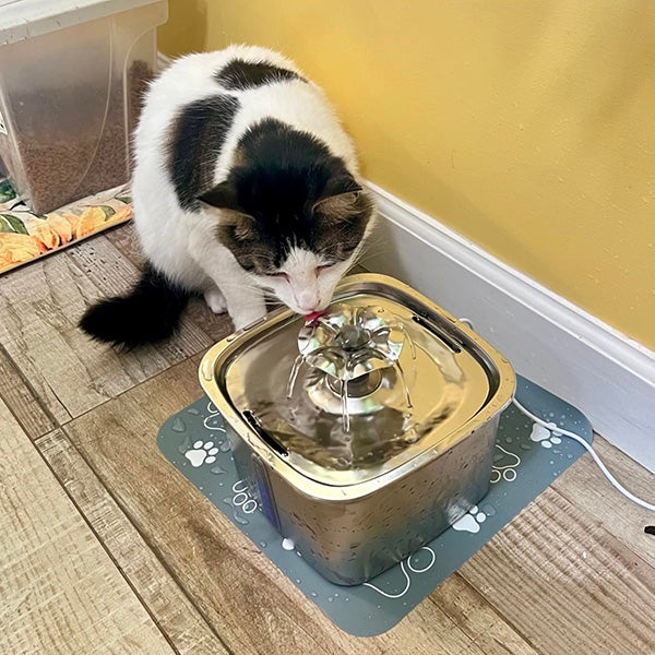 Stainless Steel Cat Water Fountain