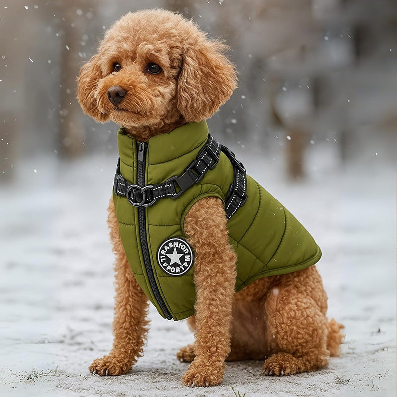 Waterproof Winter Jacket with Built-in Harness For Dogs