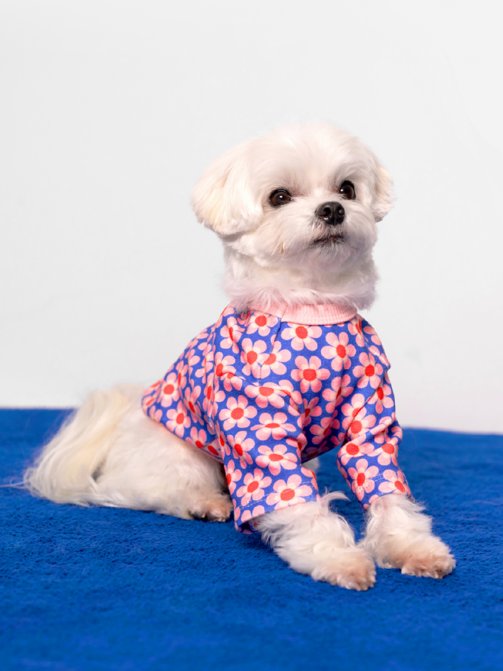 Pink Lotus Dog Shirt