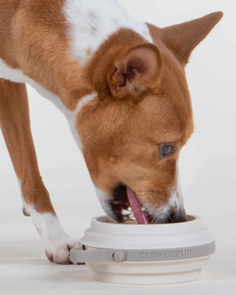 Nomad Collapsible Dog Bowl in Sand
