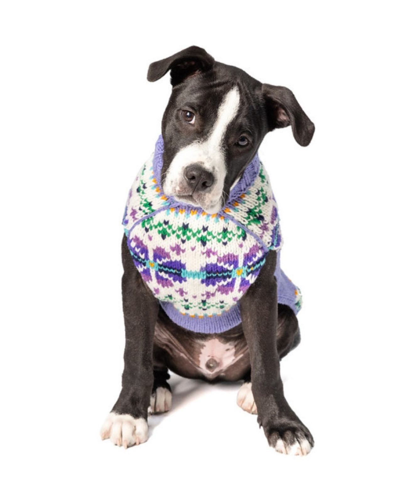 Lavender Flowers Wool Dog Sweater
