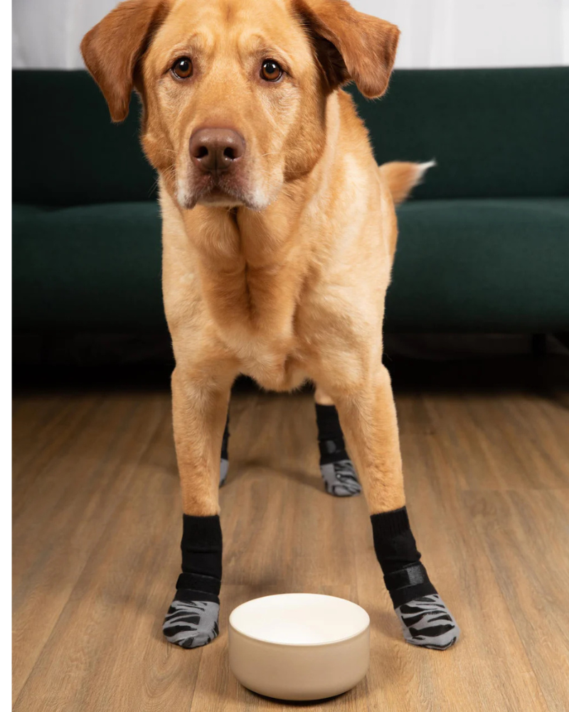 TigerToes Non-Slip Dog Socks