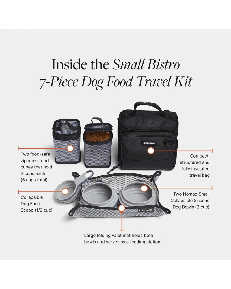 Bistro Box Dog Food Travel Kit in Check