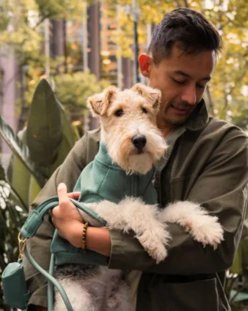 Ribbed Knit Dog Pullover in Myrtle Green