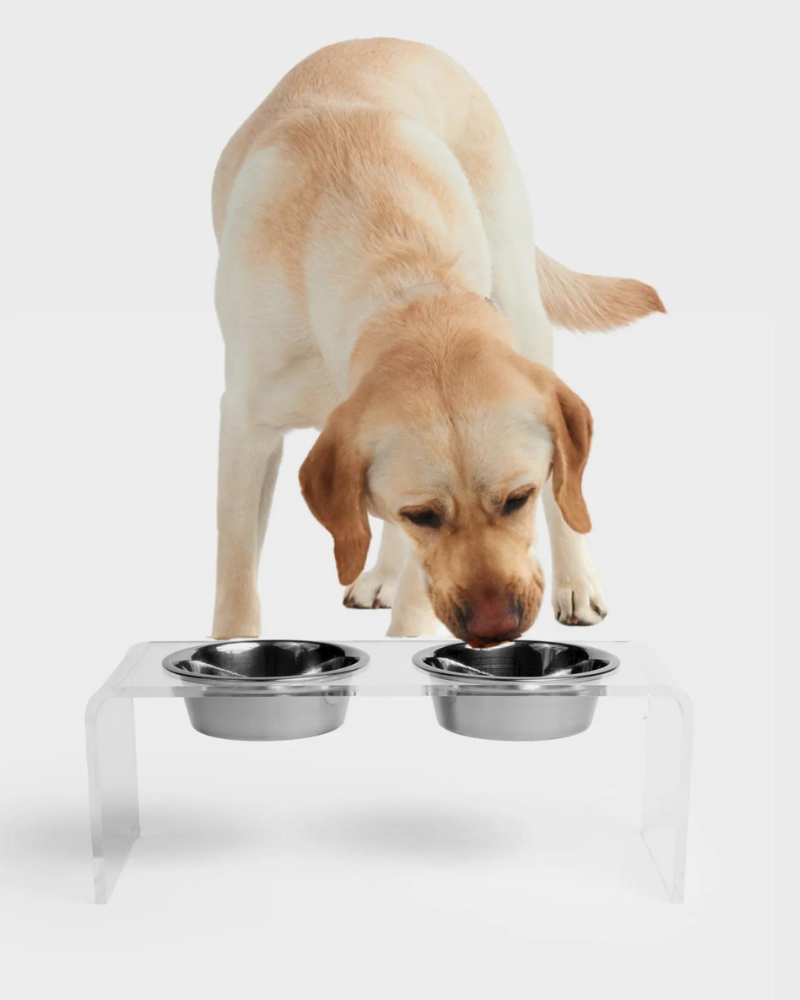 Clear Lucite Double Bowl Pet Feeder (Made in the USA) (Direct-Ship)