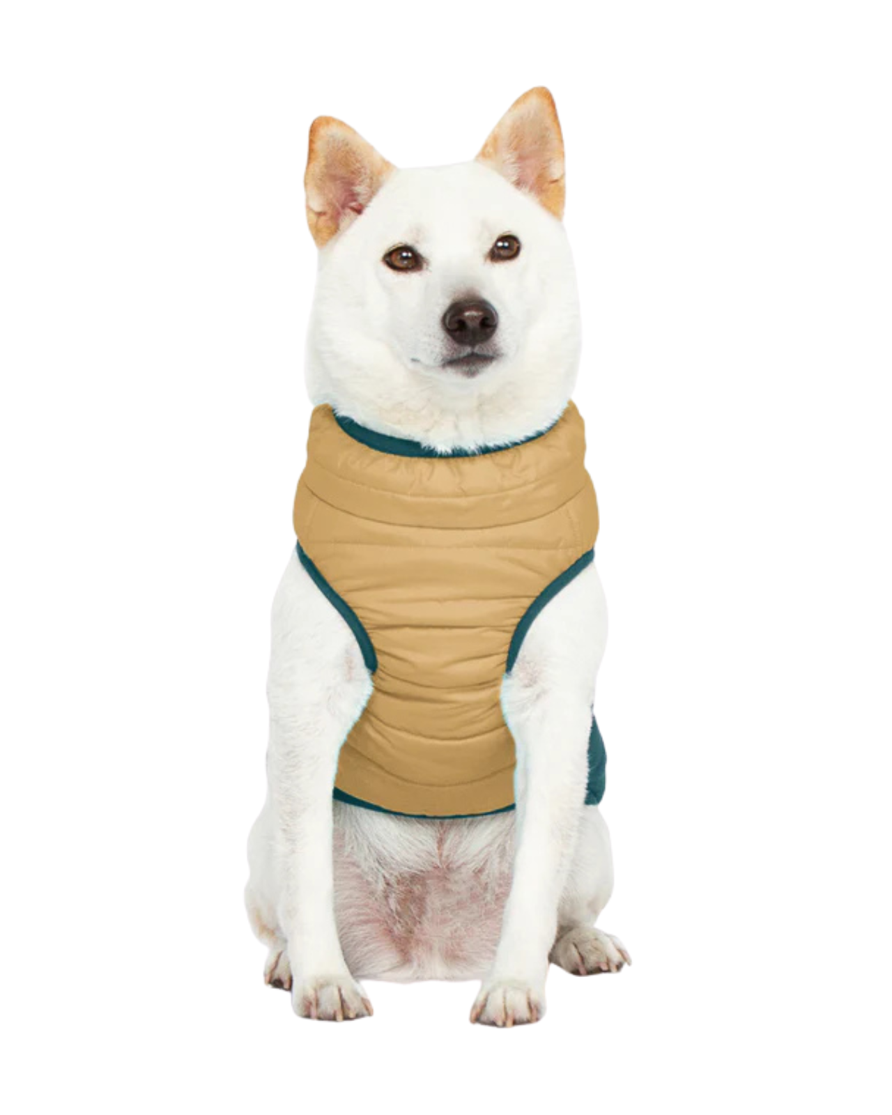 Mountaineer Waterproof Dog Harness Jacket in Sand