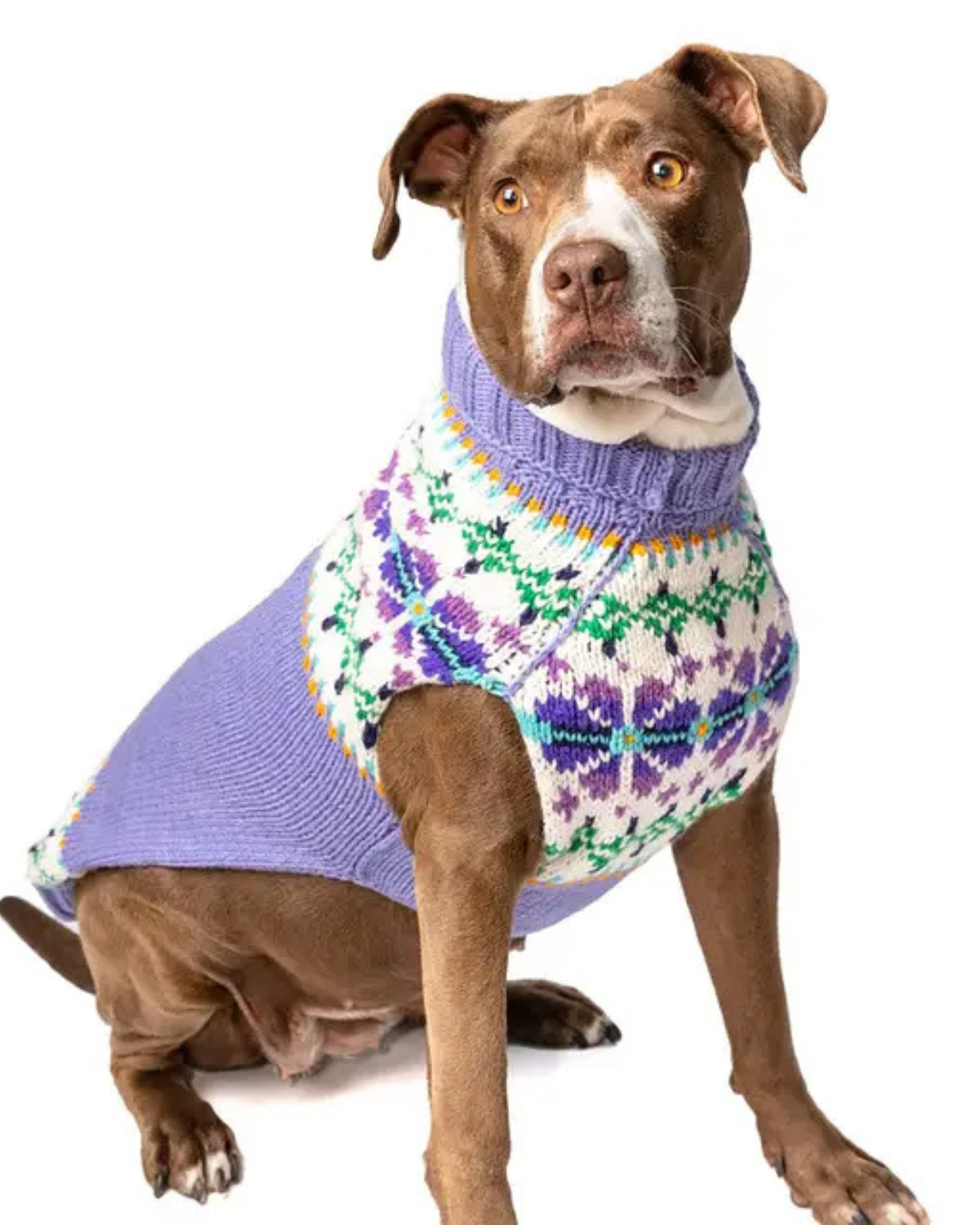 Lavender Flowers Wool Dog Sweater
