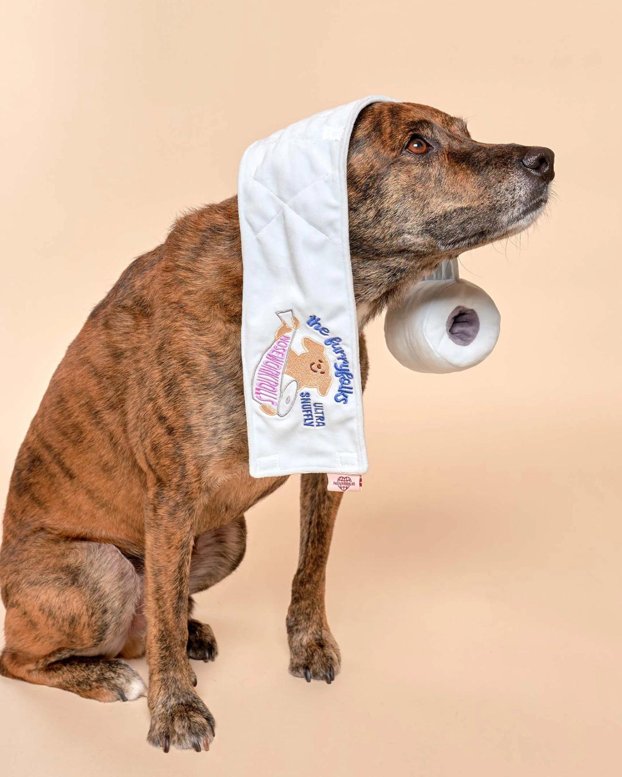 Toilet Paper Nosework Dog Toy