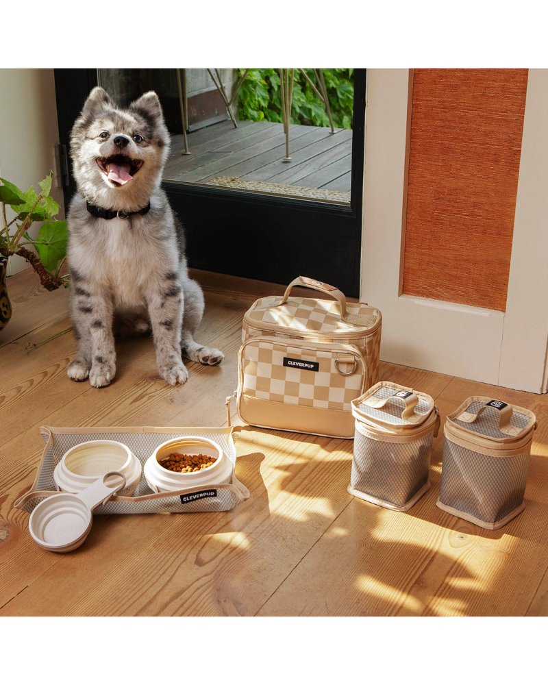 Bistro Box Dog Food Travel Kit in Check