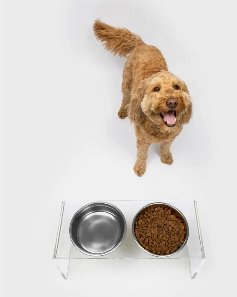 Clear Lucite Double Bowl Pet Feeder (Made in the USA) (Direct-Ship)