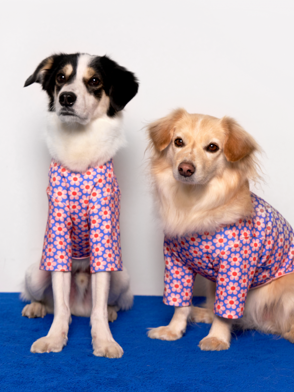 Pink Lotus Dog Shirt