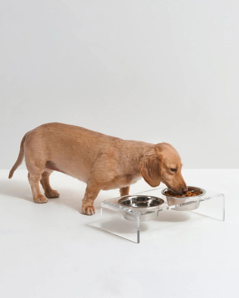 Clear Lucite Double Bowl Pet Feeder (Made in the USA) (Direct-Ship)