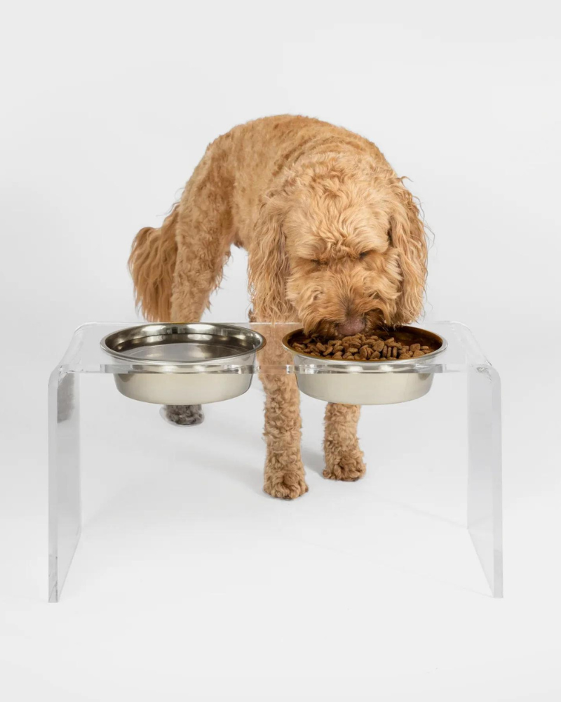 Clear Lucite Double Bowl Pet Feeder (Made in the USA) (Direct-Ship)
