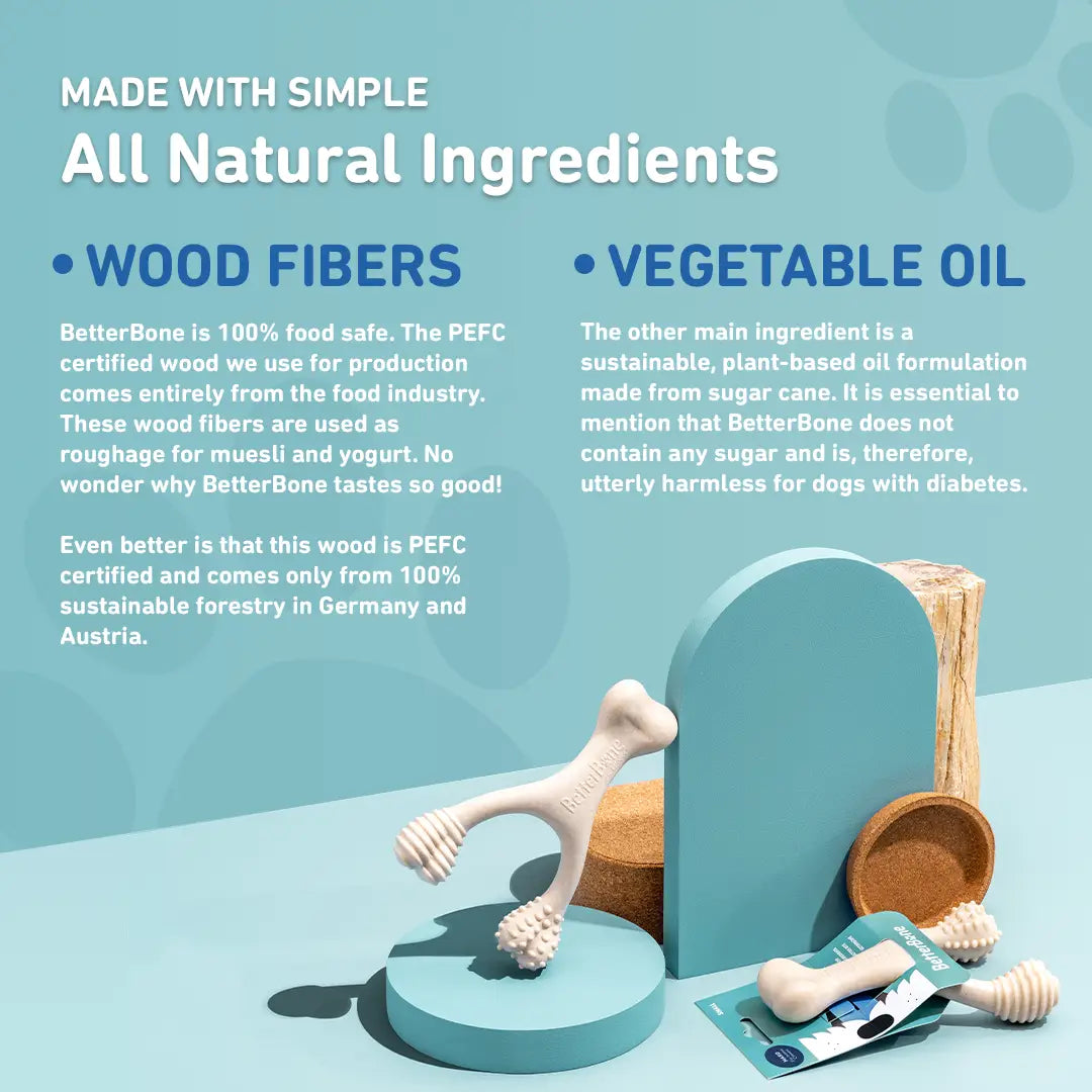 TOUGH All Natural Eco-Friendly Dog Chew Toy (Beef Flavor - Hard)