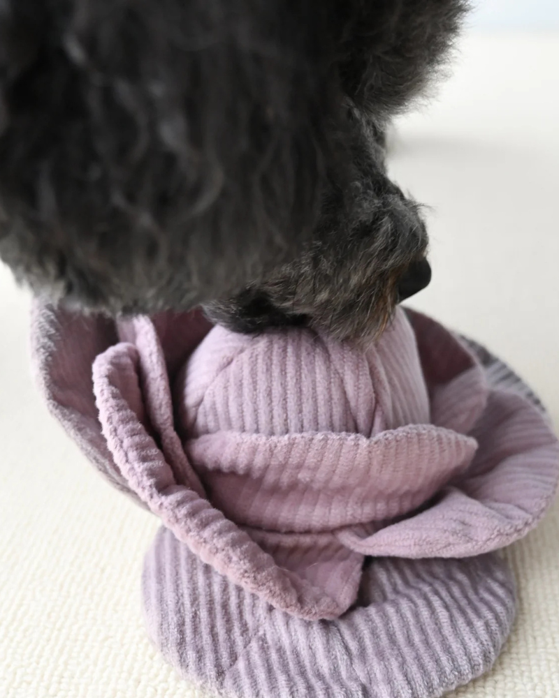 Cabbage Snuffle + Pop Plush Toy for Dogs