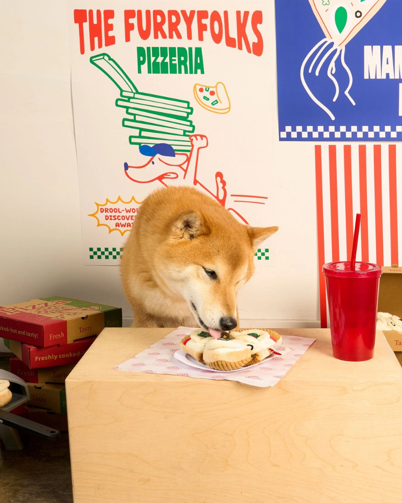 Pizza Nosework Toy for Dogs