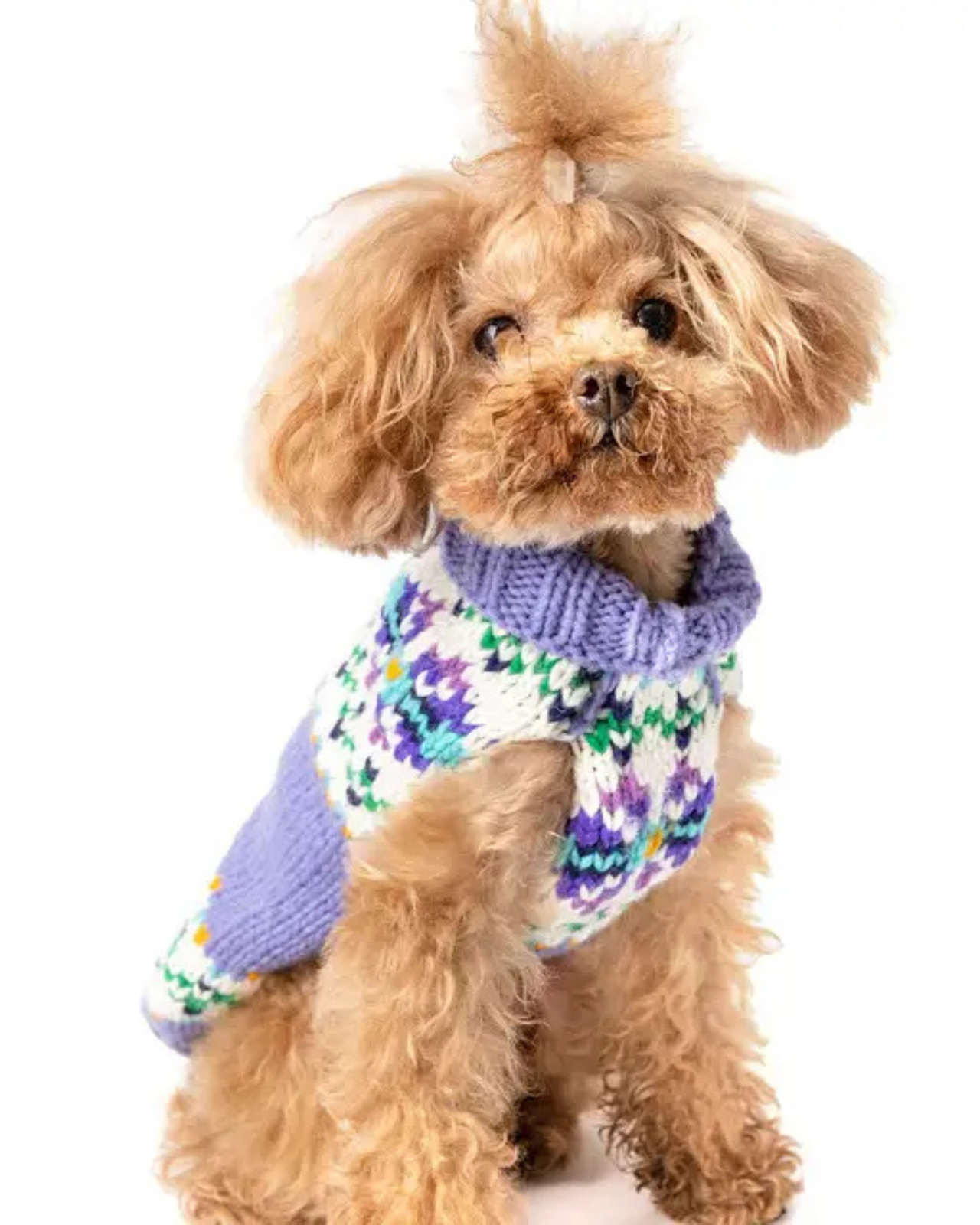 Lavender Flowers Wool Dog Sweater
