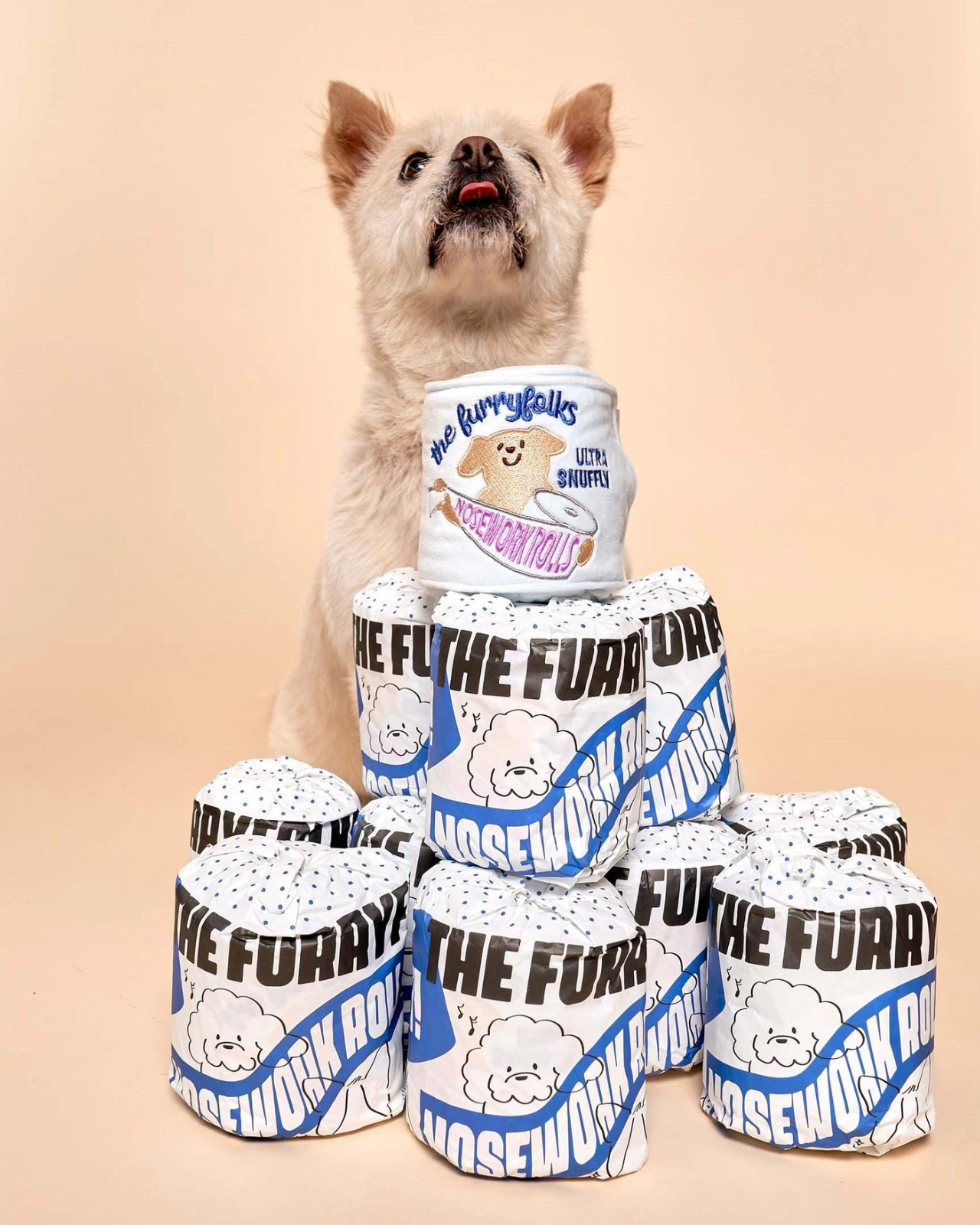 Toilet Paper Nosework Dog Toy