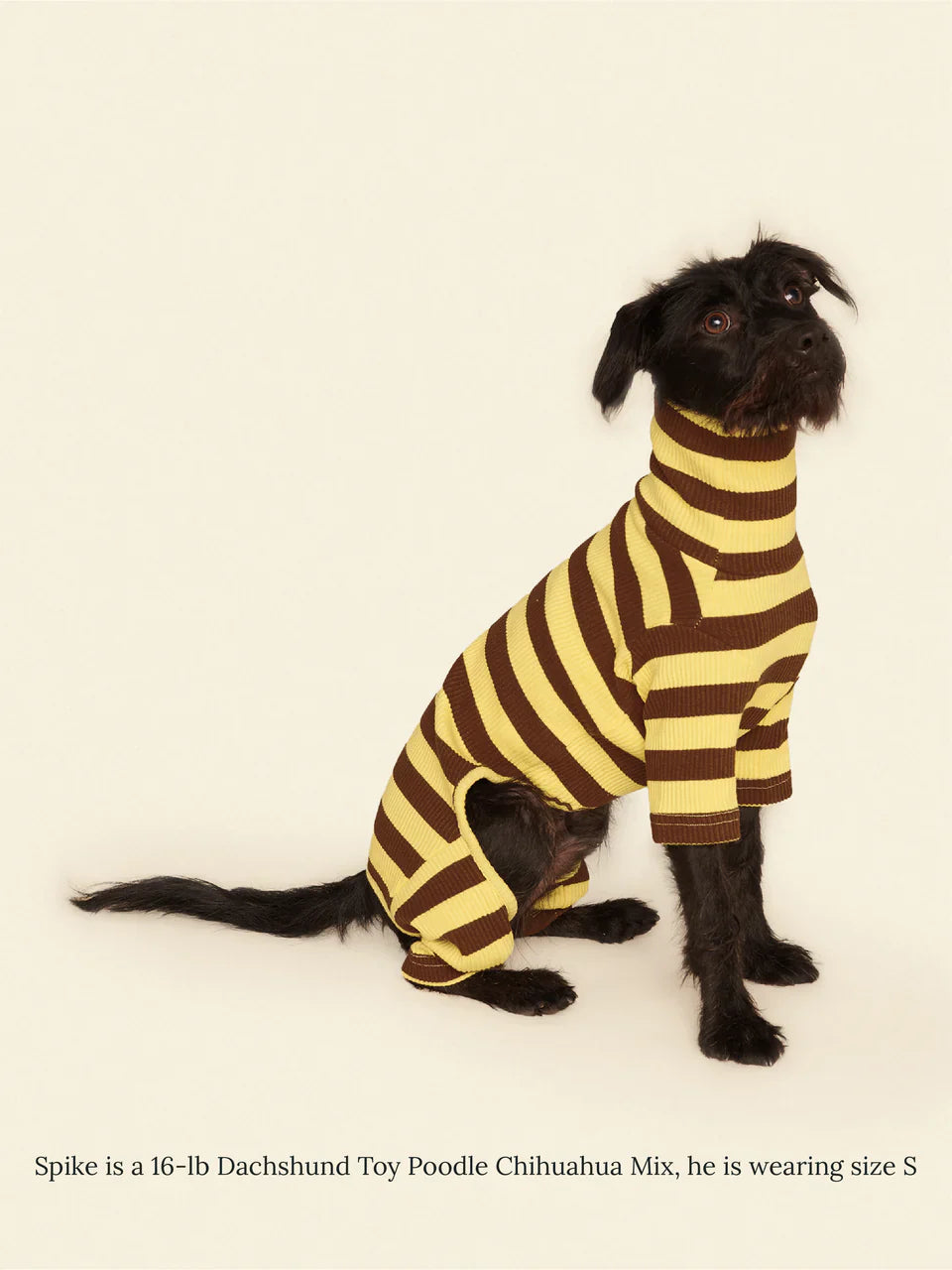 Dijon Stretch Ribbed Dog Onesie