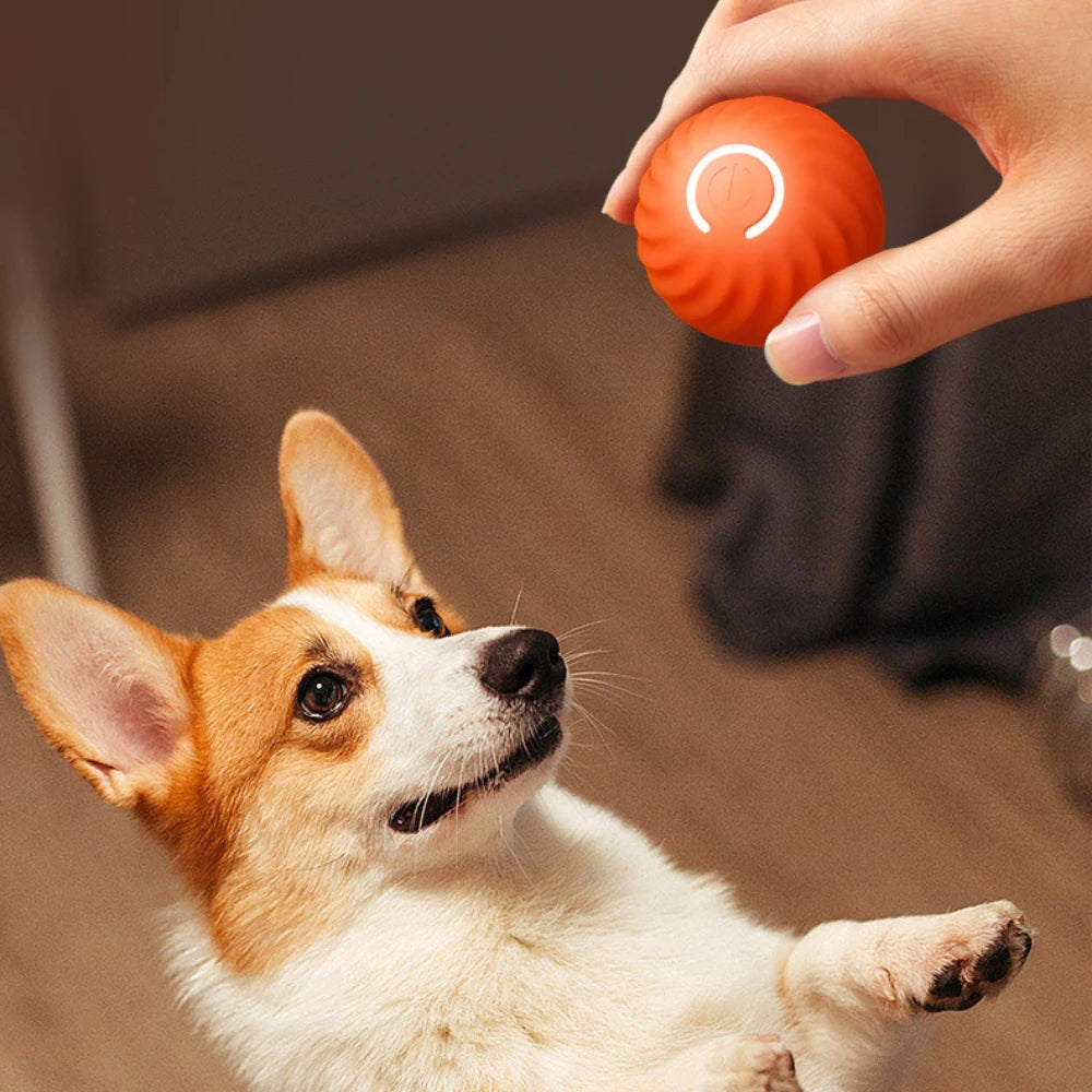 Smart Interactive Dog Toy 🐶
