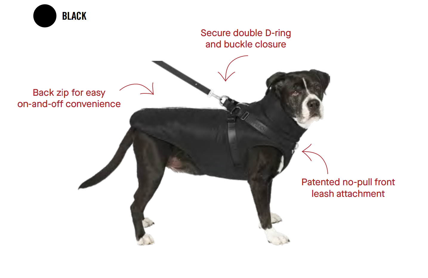 Complete Control Harness Winter Dog Jacket