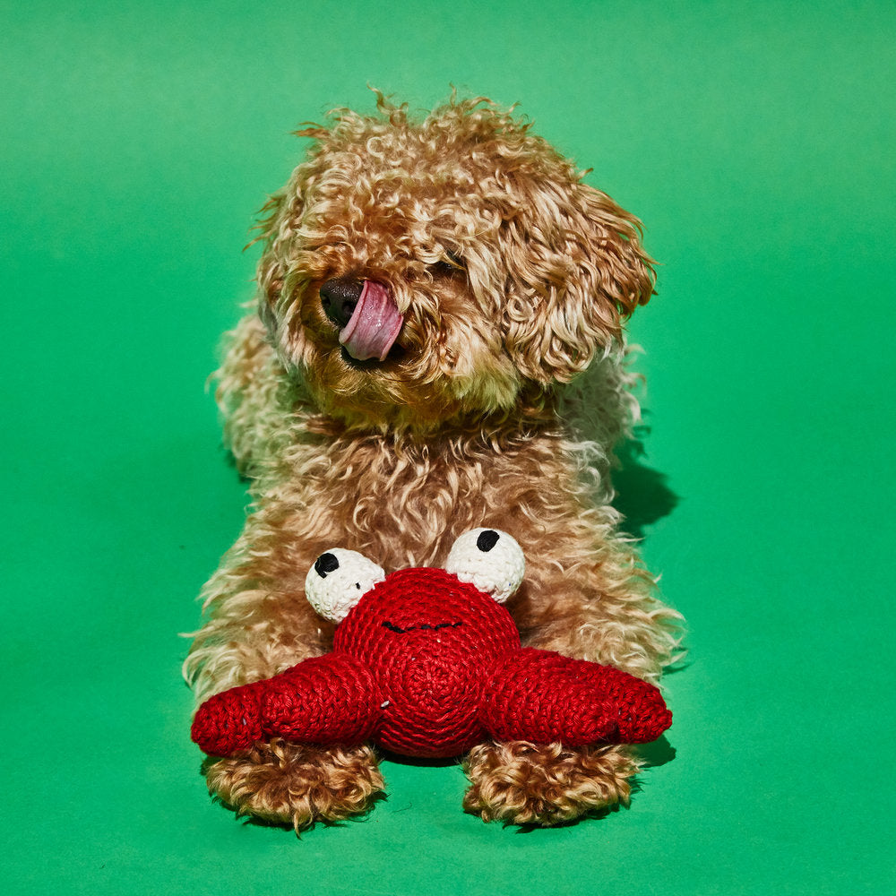 Cotton Crochet Crab Squeaky Plush Dog Toy