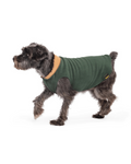 Double Fleece Dog Pullover in Hunter Green & Chipmunk (Made in the USA)