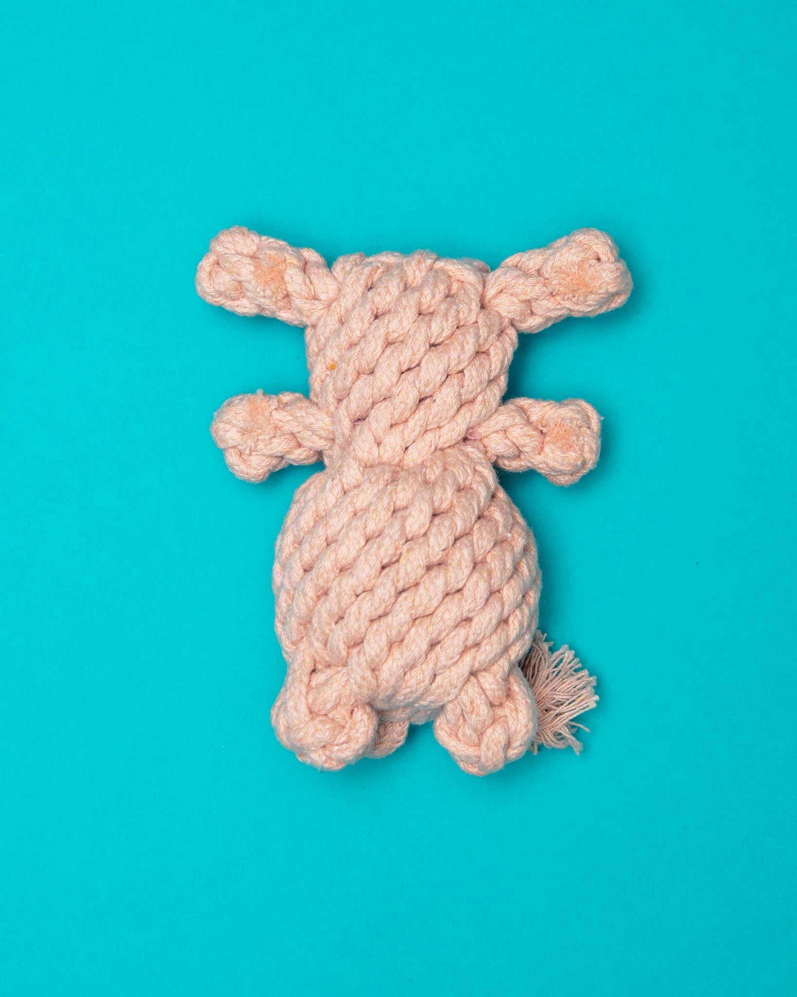 Sweetheart Bear Rope Dog Toy