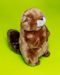 Troy the Beaver Plush Squeaky Dog Toy