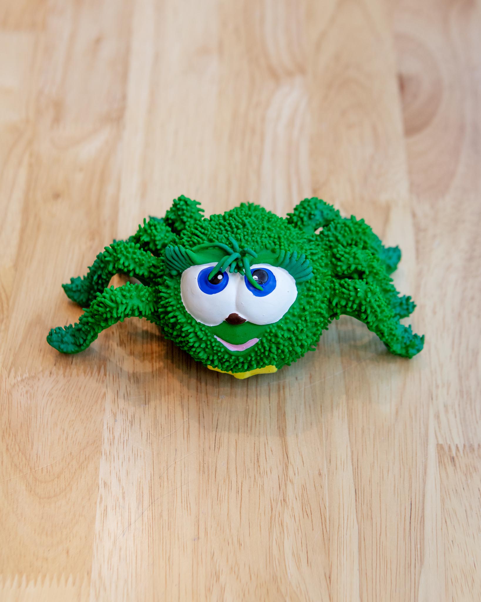 Sensory Spider Rubber Squeaky Dog Toy