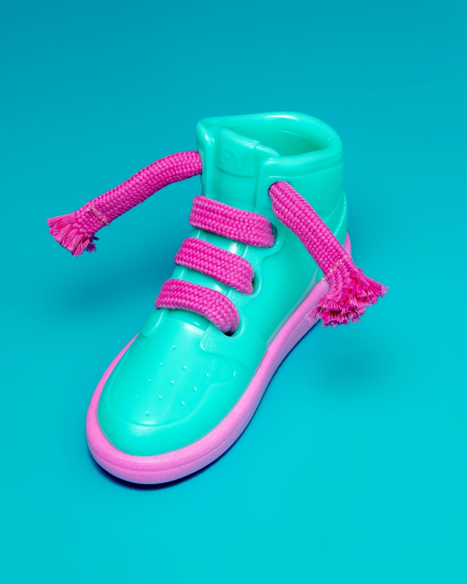 Fresh Kicks 'N' Licks Interactive Chew Toy